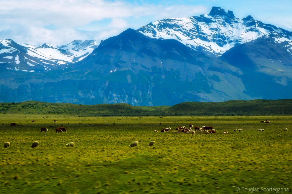 A picture of the Andes Mountains in Patagonia, Argentina