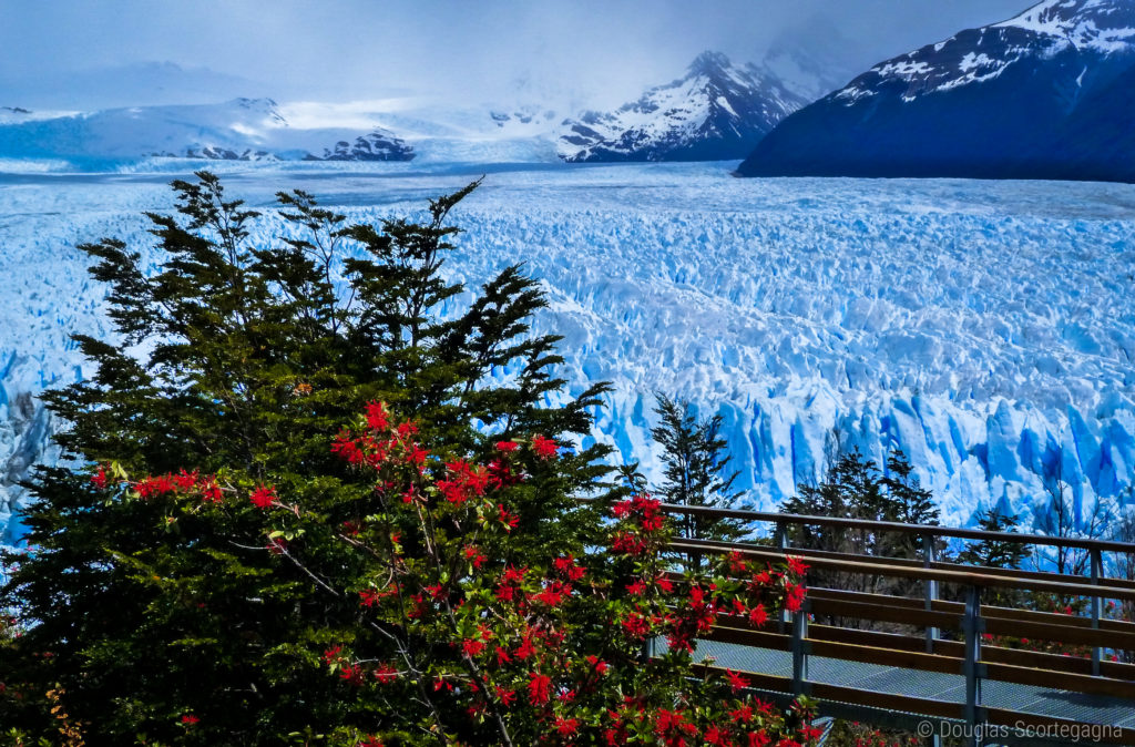 An image portraying the boardwalk by the infinite ice of the Perito Moreno Glacier