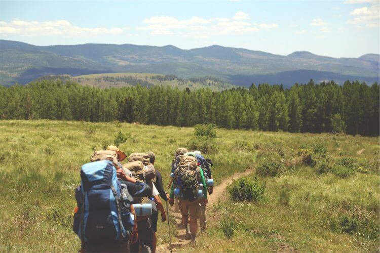 A group of hikers carrying their backpacking gear and heading towards a forest