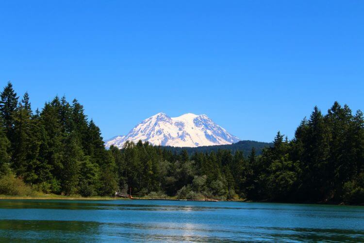 Mount Rainier is shown in this picture