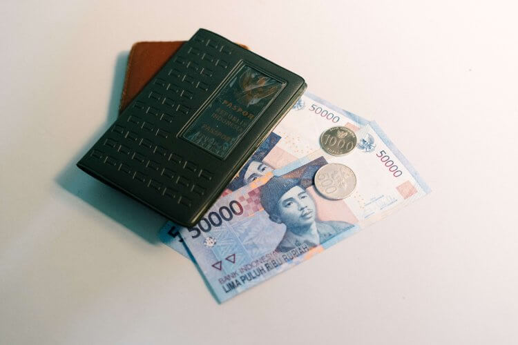 An RFID wallet with cash
