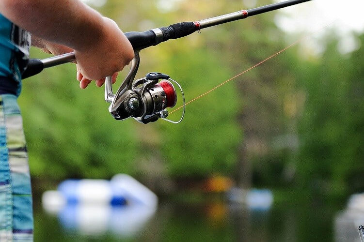 An image of a fishing rod