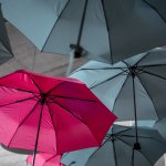 8 Best Travel Umbrellas in 2024