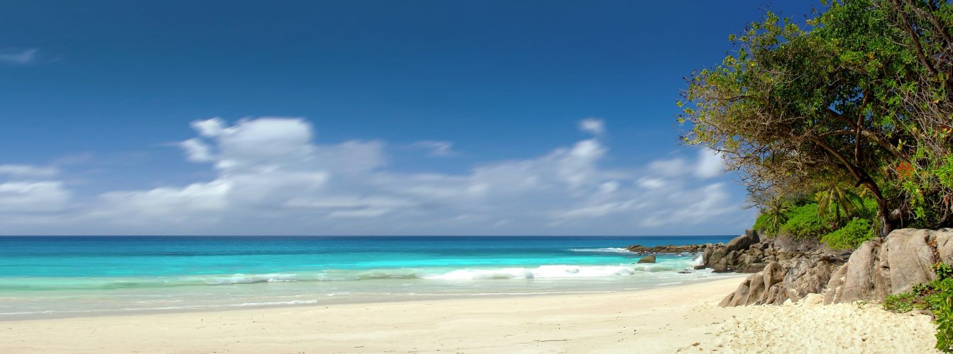 A white sand beach in the Seychelles